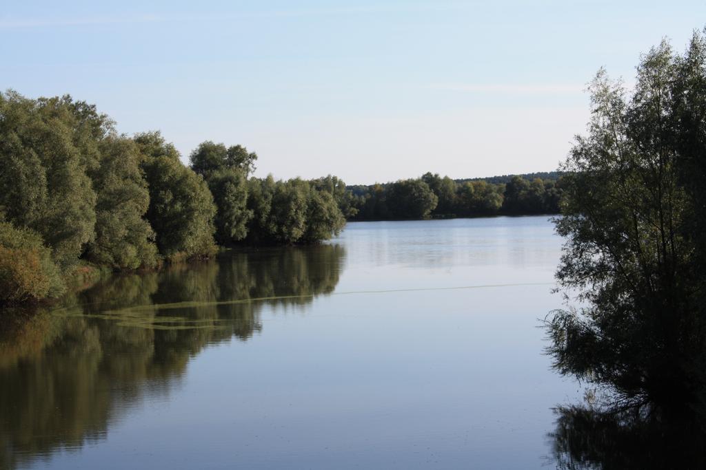 Hotel Scholz Hitzacker Exteriör bild